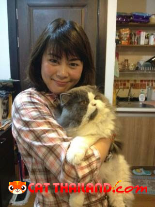 น้องแมวชื่อ ซูชิคะ