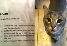 เมื่อหญิงสาวไม่อยู่บ้าน ต้องให้เพื่อนดูแลแมวแทน เลยเขียนโน้ตบรรยายนิสัยแมวแบบน่ารักสุดๆ