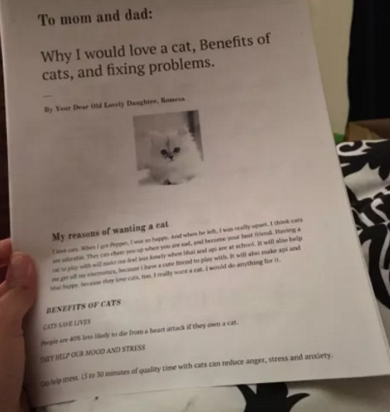 เด็กหญิงวัย 11 ปี เขียนรายงาน 6 หน้าให้พ่อแม่ เพื่อบอกเหตุผลที่ว่า ทำไมถึงอยากเลี้ยงแมว