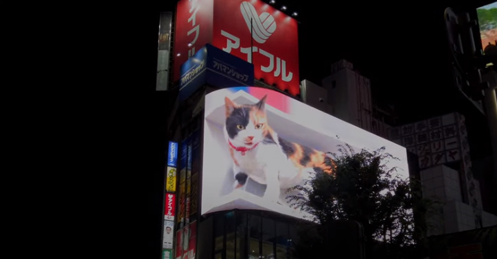 4K Shinjuku 3D cat Tokyo Japan