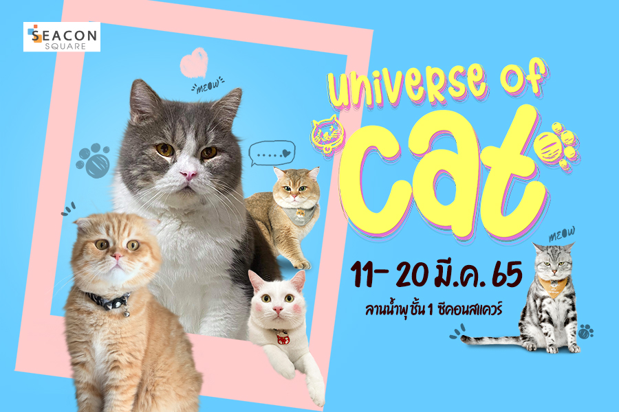 ซีคอนสแควร์ ต้อนรับปิดเทอม  จัดงาน “ Universe of CAT ” รวบรวมทุกอย่างที่เกี่ยวกับแมวสัตว์  เลี้ยงมหัศจรรย์แสนน่ารัก  